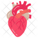 پیش‌نمایش فایل heart-10341032 از پک اندام‌های داخلی بدن