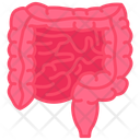 پیش‌نمایش فایل intestines-10341039 از پک اندام‌های داخلی بدن