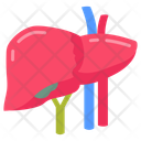 پیش‌نمایش فایل liver-10341033 از پک اندام‌های داخلی بدن