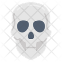 پیش‌نمایش فایل skull-10341062 از پک اندام‌های داخلی بدن