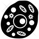 پیش‌نمایش فایل human-cell-10341253 از پک اندام‌های داخلی بدن