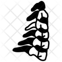 پیش‌نمایش فایل human-ribs-10341293 از پک اندام‌های داخلی بدن