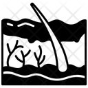 پیش‌نمایش فایل skin-10341234 از پک اندام‌های داخلی بدن