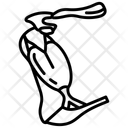 پیش‌نمایش فایل bony-labyrinth-10341396 از پک اندام‌های داخلی بدن