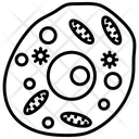 پیش‌نمایش فایل human-cell-10341353 از پک اندام‌های داخلی بدن
