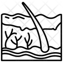 پیش‌نمایش فایل skin-10341334 از پک اندام‌های داخلی بدن