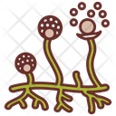 پیش‌نمایش فایل fungi-spores-10790394 از پک آلودگی هوا