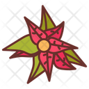 پیش‌نمایش فایل poinsettia-10791941 از پک کریسمس