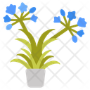 پیش‌نمایش فایل agapanthus-10811673 از پک گیاهان فضای داخلی