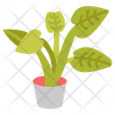 پیش‌نمایش فایل alocasia-portadora-10811725 از پک گیاهان فضای داخلی