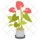 پیش‌نمایش فایل anthurium-10811664 از پک گیاهان فضای داخلی