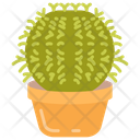 پیش‌نمایش فایل barrel-cactus-10811695 از پک گیاهان فضای داخلی