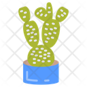 پیش‌نمایش فایل bunny-ear-cactus-10811671 از پک گیاهان فضای داخلی