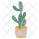 پیش‌نمایش فایل cactus-10811697 از پک گیاهان فضای داخلی