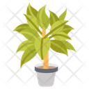 پیش‌نمایش فایل chinese-evergreen-10811678 از پک گیاهان فضای داخلی