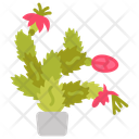 پیش‌نمایش فایل christmas-cactus-10811686 از پک گیاهان فضای داخلی