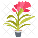 پیش‌نمایش فایل clivia-miniata-10811693 از پک گیاهان فضای داخلی