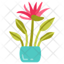 پیش‌نمایش فایل crane-flower-10811683 از پک گیاهان فضای داخلی