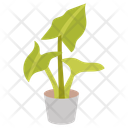 پیش‌نمایش فایل elephant-ear-plant-10811685 از پک گیاهان فضای داخلی