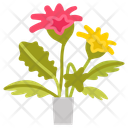 پیش‌نمایش فایل gerbera-10811676 از پک گیاهان فضای داخلی