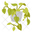 پیش‌نمایش فایل heartleaf-philodendron-10811667 از پک گیاهان فضای داخلی
