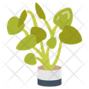 پیش‌نمایش فایل ikea-plant-10811701 از پک گیاهان فضای داخلی
