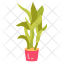 پیش‌نمایش فایل indoor-plant-10811718 از پک گیاهان فضای داخلی