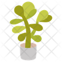 پیش‌نمایش فایل jade-plant-10811727 از پک گیاهان فضای داخلی