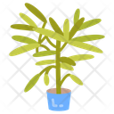 پیش‌نمایش فایل lady-palm-10811719 از پک گیاهان فضای داخلی