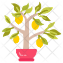 پیش‌نمایش فایل lemon-plant-10811680 از پک گیاهان فضای داخلی