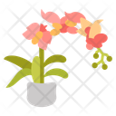 پیش‌نمایش فایل moth-orchid-10811722 از پک گیاهان فضای داخلی
