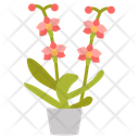 پیش‌نمایش فایل orchid-10811702 از پک گیاهان فضای داخلی