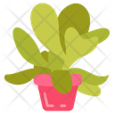 پیش‌نمایش فایل paddle-plant-10811692 از پک گیاهان فضای داخلی