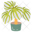 پیش‌نمایش فایل peperomia-10811691 از پک گیاهان فضای داخلی