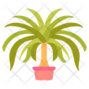 پیش‌نمایش فایل ponytail-palm-10811679 از پک گیاهان فضای داخلی