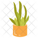 پیش‌نمایش فایل snake-plant-10811696 از پک گیاهان فضای داخلی