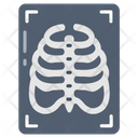پیش‌نمایش فایل x-ray-10798333 از پک فیزیک