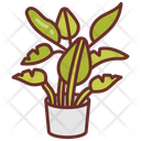 پیش‌نمایش فایل banana-plant-10802073 از پک گیاهان فضای داخلی