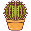 پیش‌نمایش فایل barrel-cactus-10802131 از پک گیاهان فضای داخلی