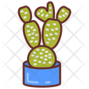 پیش‌نمایش فایل bunny-ear-cactus-10802107 از پک گیاهان فضای داخلی