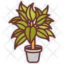 پیش‌نمایش فایل chinese-evergreen-10802114 از پک گیاهان فضای داخلی