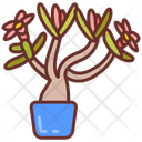 پیش‌نمایش فایل desert-rose-10802096 از پک گیاهان فضای داخلی