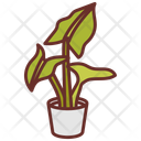 پیش‌نمایش فایل elephant-ear-plant-10802121 از پک گیاهان فضای داخلی