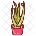 پیش‌نمایش فایل ox-tongue-plant-10802094 از پک گیاهان فضای داخلی