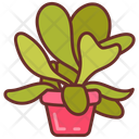 پیش‌نمایش فایل paddle-plant-10802128 از پک گیاهان فضای داخلی
