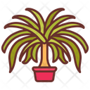 پیش‌نمایش فایل ponytail-palm-10802115 از پک گیاهان فضای داخلی