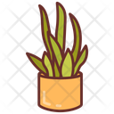 پیش‌نمایش فایل snake-plant-10802132 از پک گیاهان فضای داخلی
