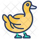 پیش‌نمایش فایل duck-2027682 از پک کشاورزی، مزرعه‌داری و باغبانی