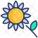 پیش‌نمایش فایل sunflower-2027692 از پک کشاورزی، مزرعه‌داری و باغبانی