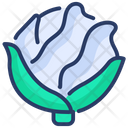 پیش‌نمایش فایل cabbage-2034340 از پک غذا و نوشیدنی